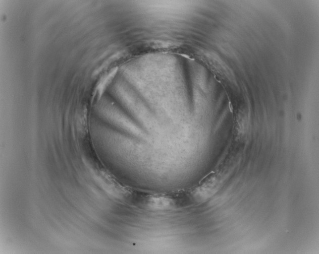 X0000088600376200706081359