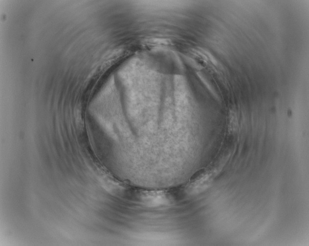 X0000088600377200706081359