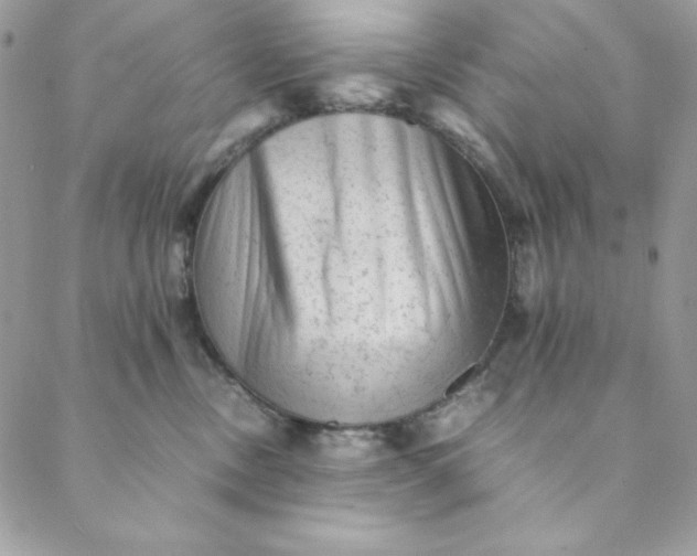 X0000088600378200706081359