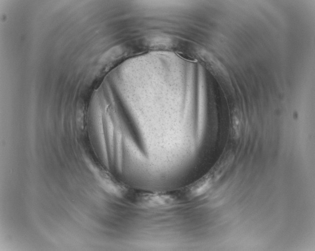 X0000088600379200706081359