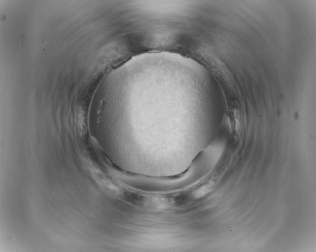 X0000088600380200706081359