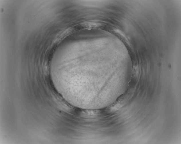 X0000088600381200706081359