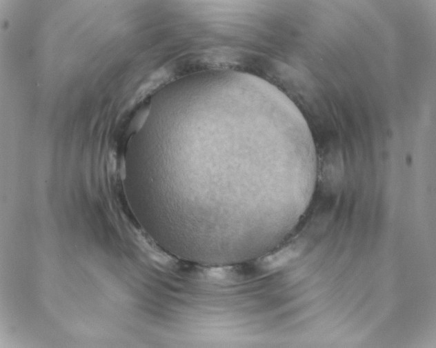 X0000088600382200706081359