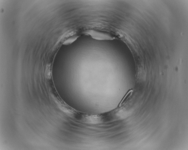 X0000088600383200706081359