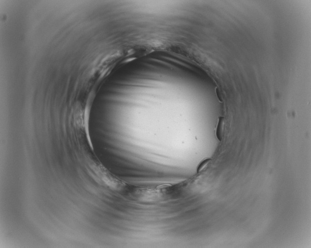 X0000088600384200706081359