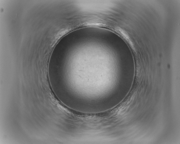 X0000088600385200706081358