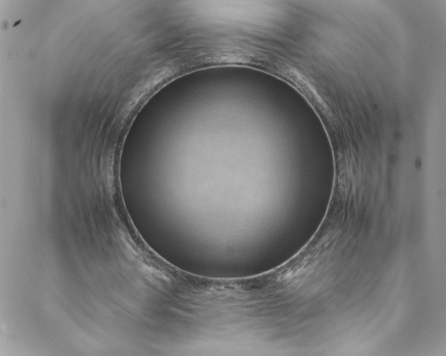 X0000088600386200706081358