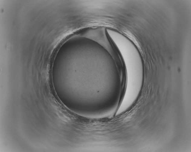 X0000088600387200706081358