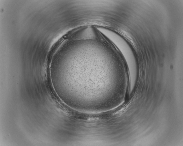 X0000088600388200706081358