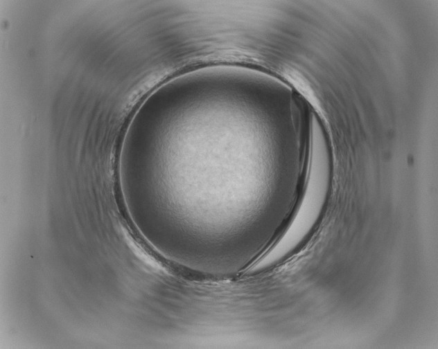 X0000088600389200706081358