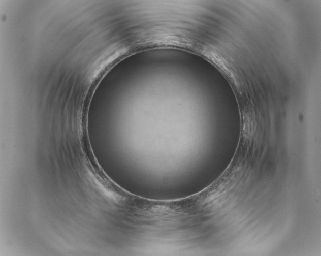 X0000088600390200706081358