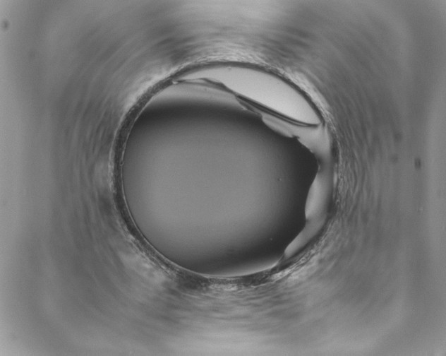 X0000088600391200706081358