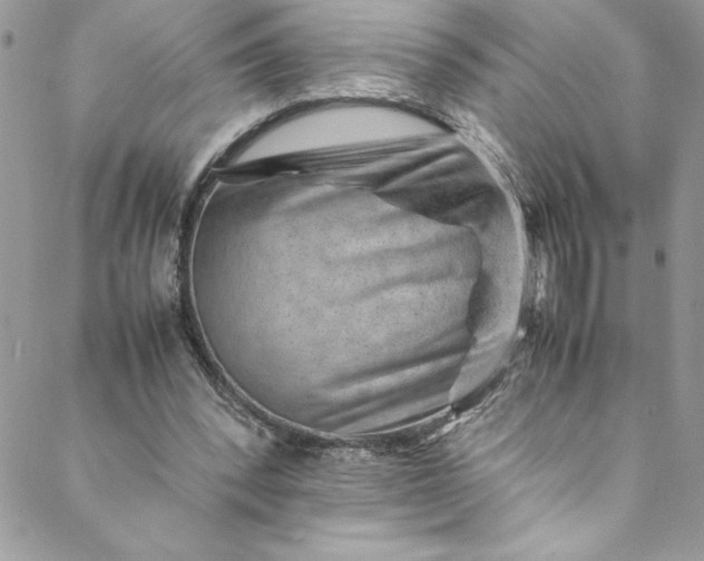 X0000088600392200706081358