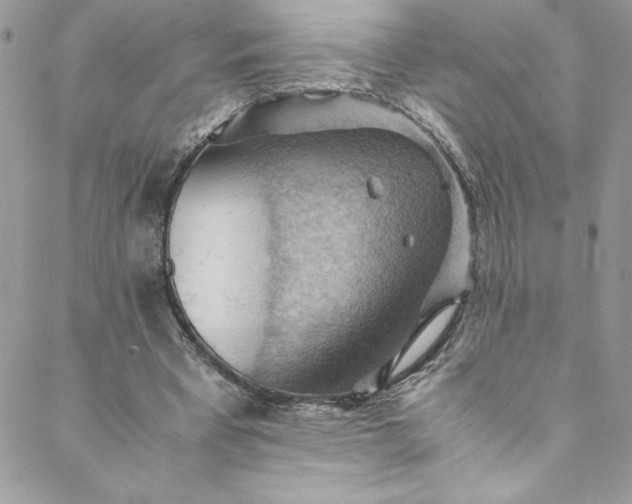 X0000088600393200706081358