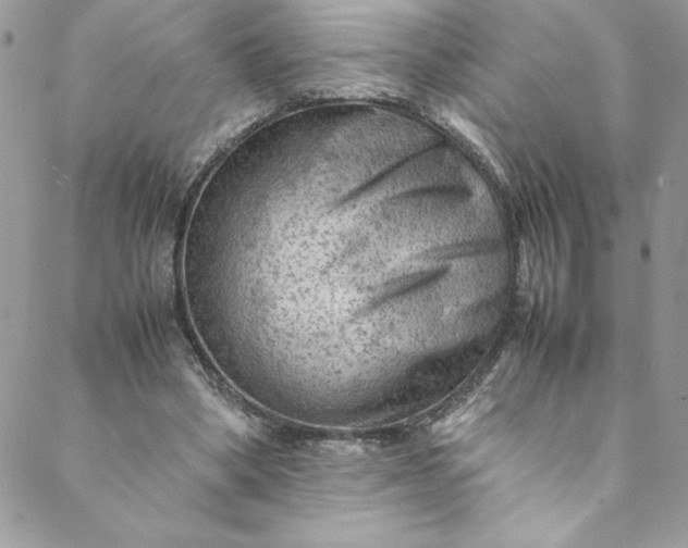 X0000088600394200706081358