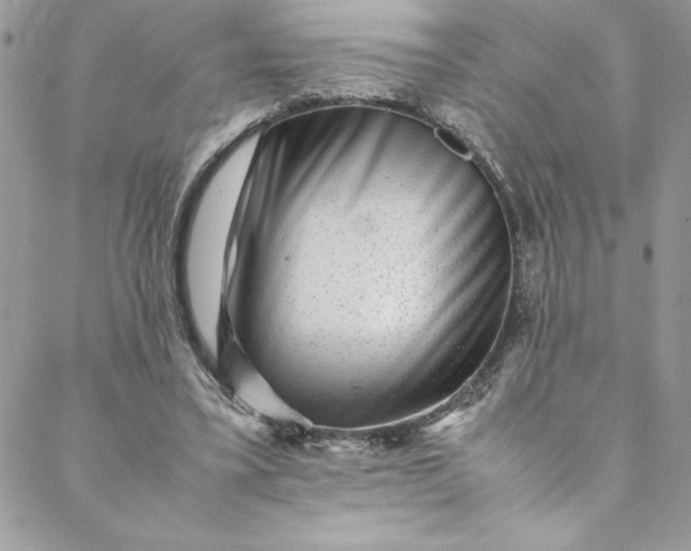 X0000088600395200706081358