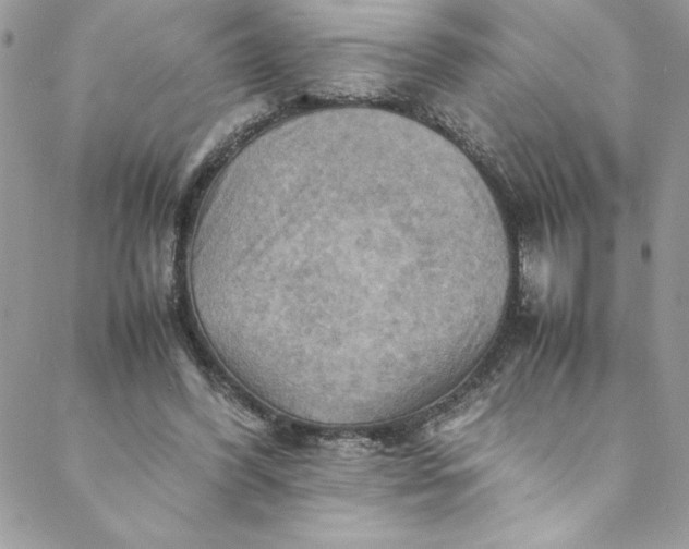 X0000088600396200706081358