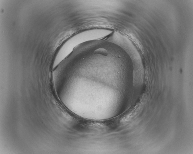 X0000088600397200706081358