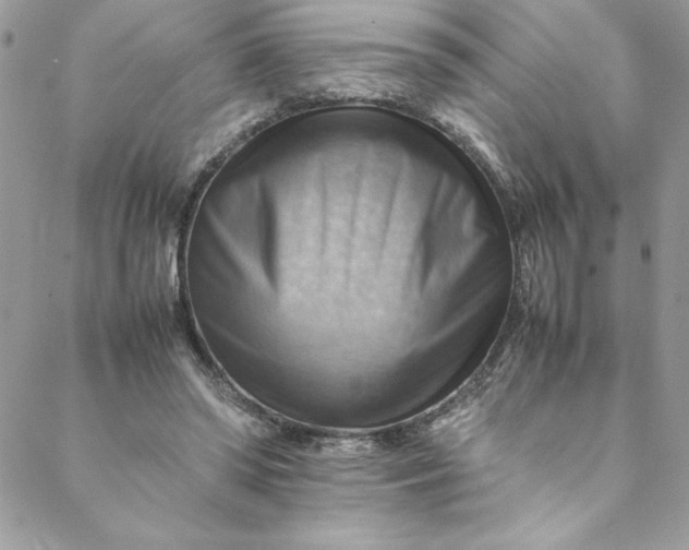 X0000088600398200706081358