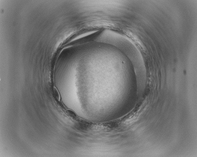 X0000088600399200706081358