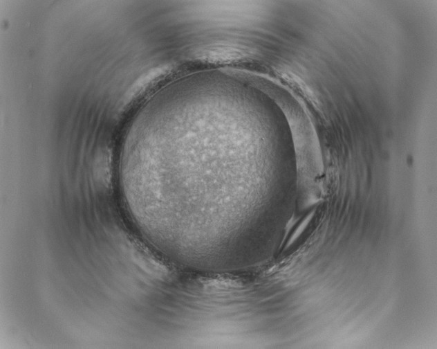 X0000088600400200706081358