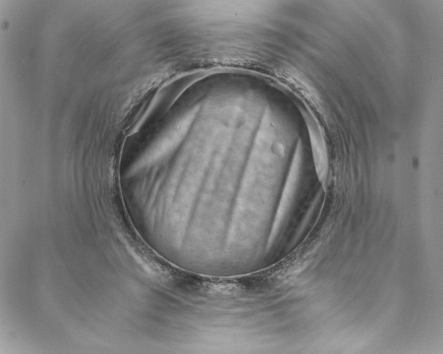 X0000088600401200706081358