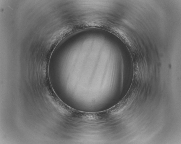 X0000088600402200706081358