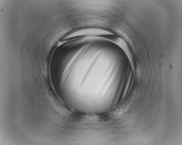 X0000088600403200706081358