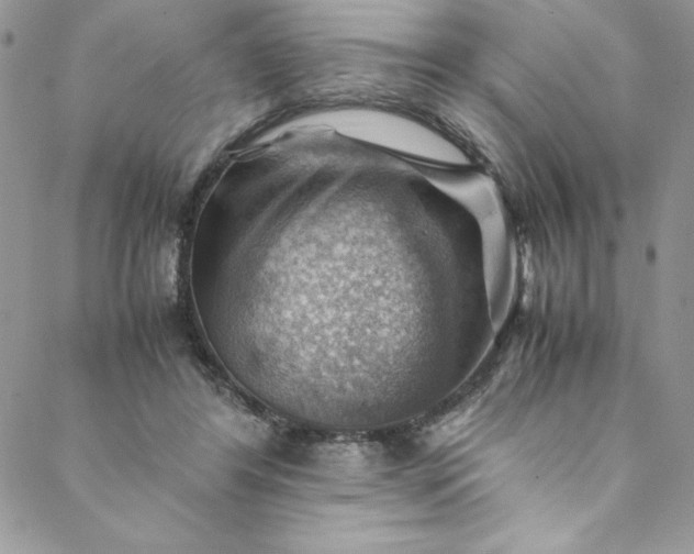 X0000088600404200706081358