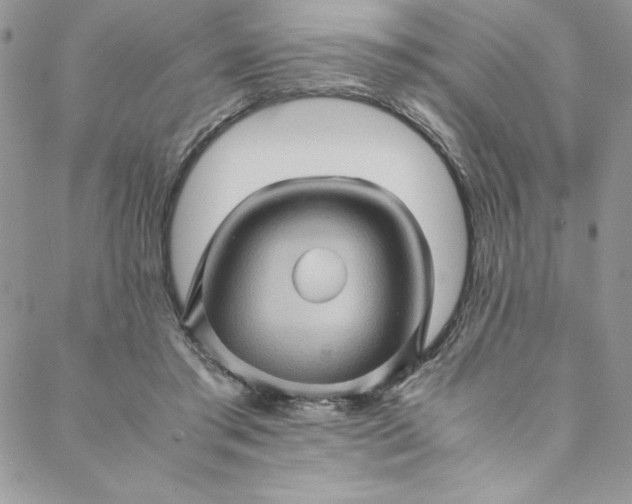 X0000088600405200706081358