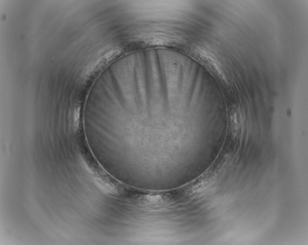 X0000088600406200706081358