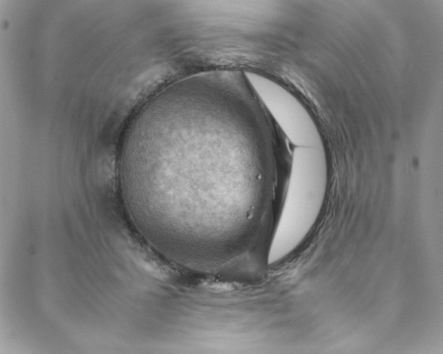 X0000088600407200706081358