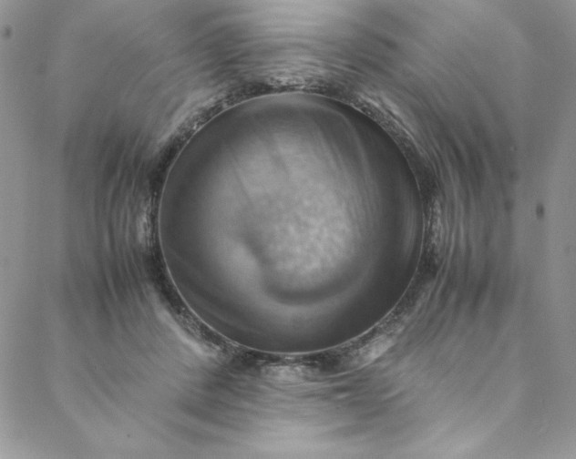 X0000088600408200706081358