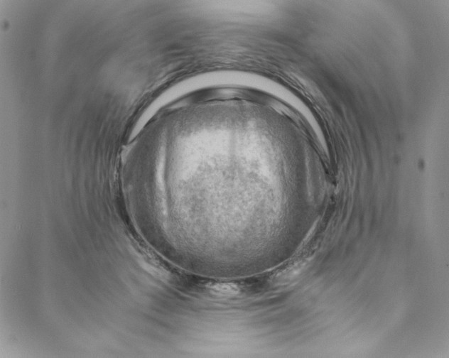 X0000088600409200706081358