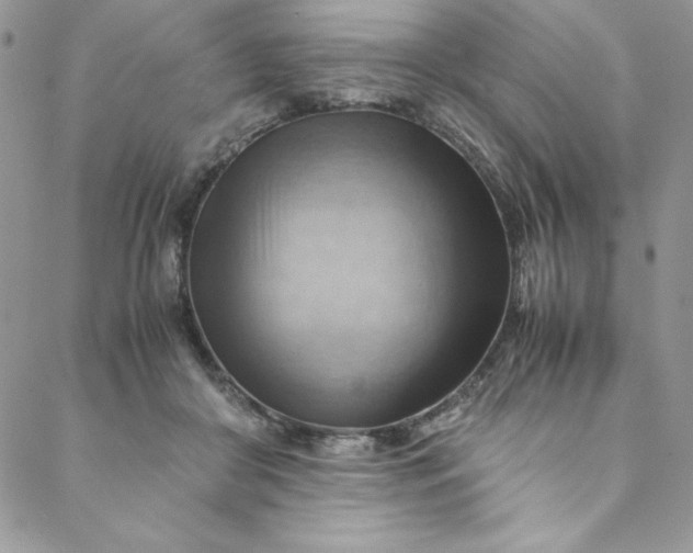 X0000088600410200706081358