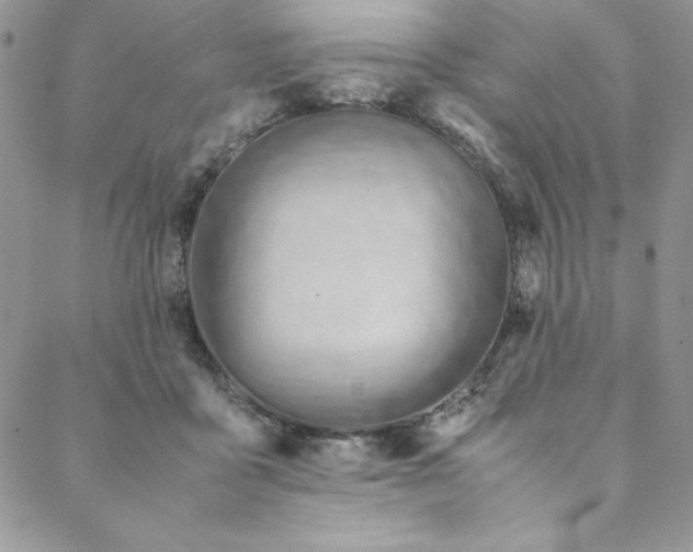 X0000088600411200706081358