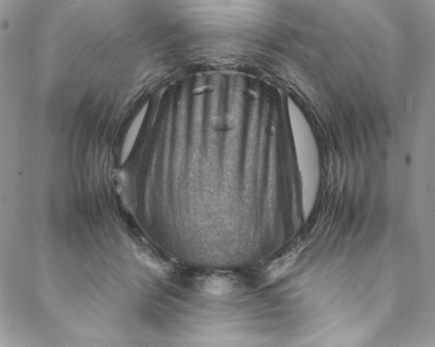 X0000088600412200706081358