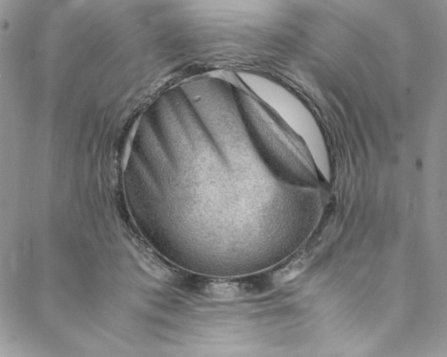 X0000088600413200706081358