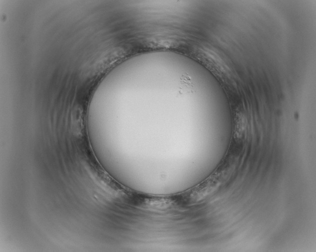 X0000088600414200706081358