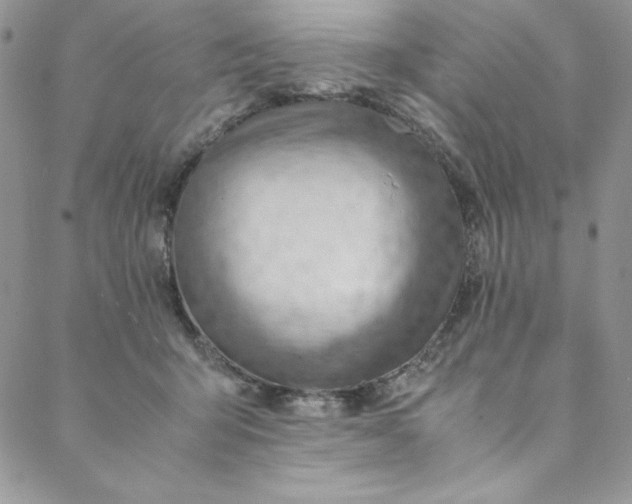 X0000088600415200706081358