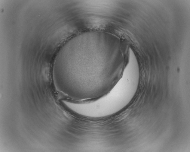 X0000088600416200706081358