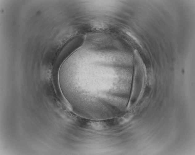 X0000088600417200706081358