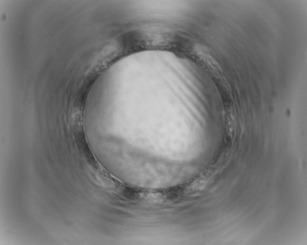 X0000088600419200706081358