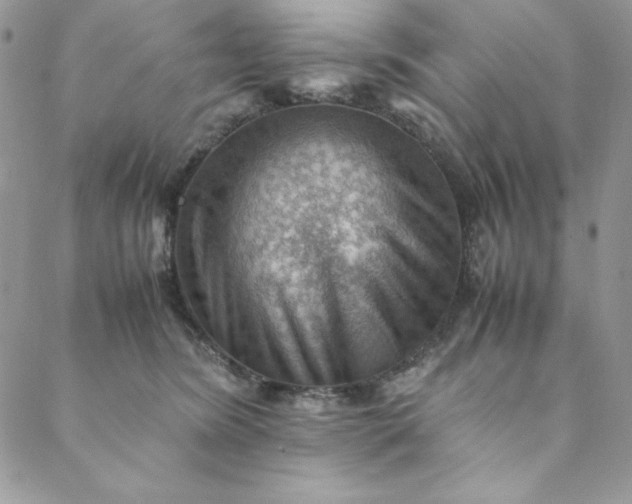 X0000088600420200706081357