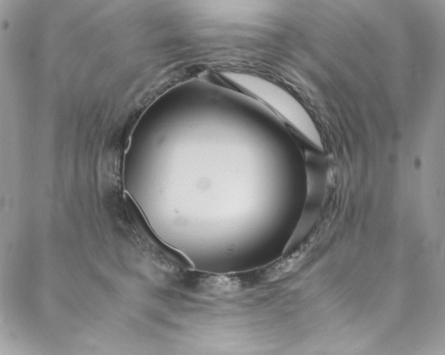 X0000088600421200706081357