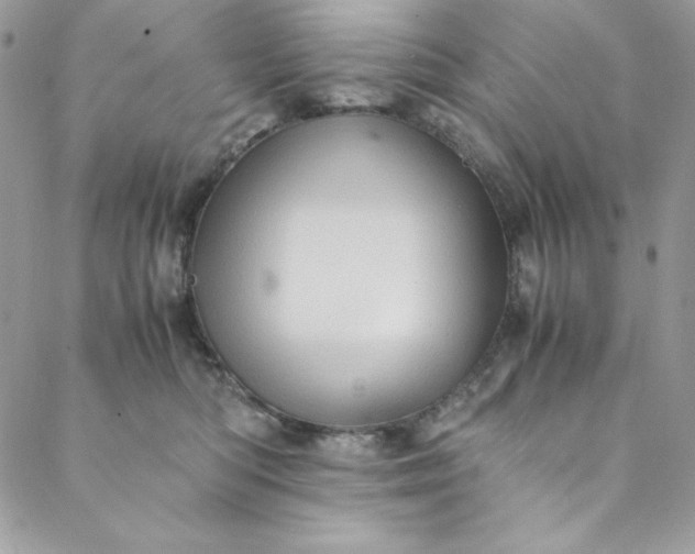 X0000088600422200706081357