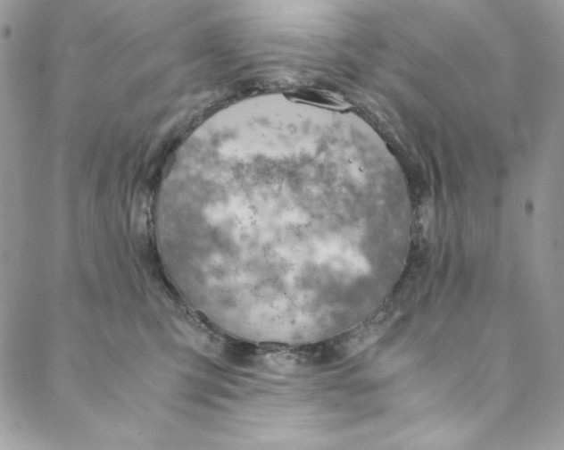 X0000088600423200706081357