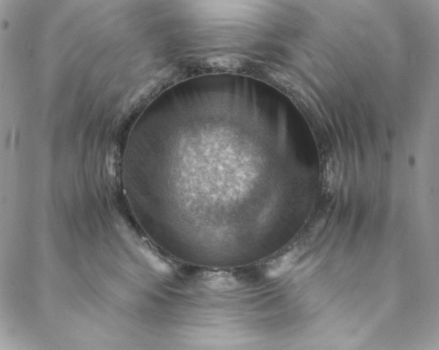 X0000088600424200706081357