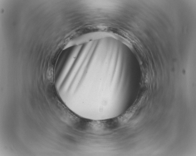 X0000088600425200706081357