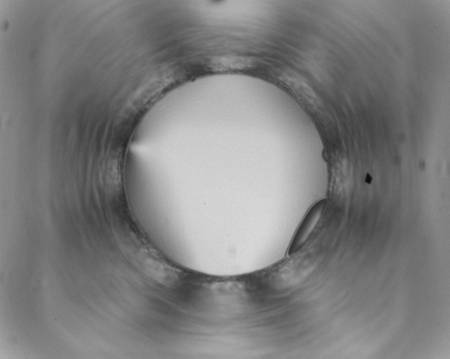 X0000088600426200706081357